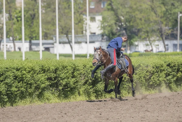 Toespraak door de atleet op een paard op het circuit op de opening — Stockfoto