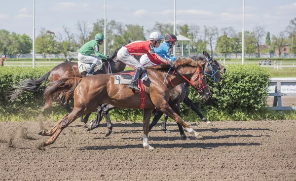 Penunggang kuda berkuda di arena pacuan kuda pada hari pembukaan — Stok Foto