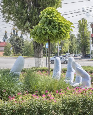 Toprağa gömülü palmiye ağacı