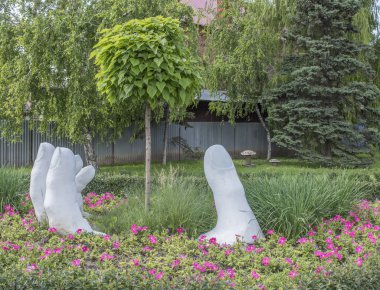 Toprağa gömülü palmiye ağacı