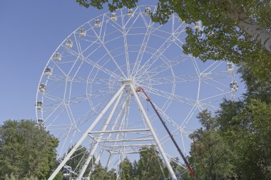  Dönme dolap 65 metre inşaatı 