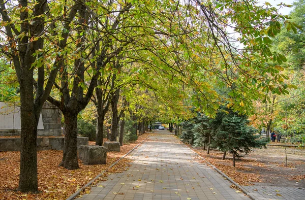 Rostov Don Rússia Oktober 2020 Outono Chegou Cidade — Fotografia de Stock