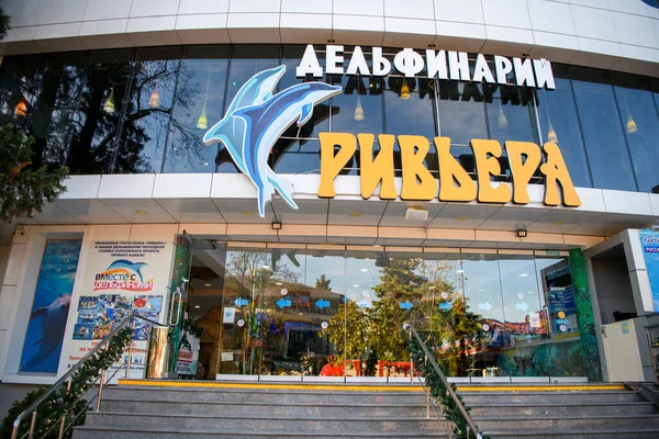 Sochi Ryssland December 2020 Delfinariets Riviera Riviera Park Stockfoto