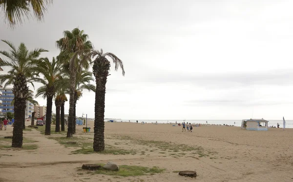 Turistas caminando y tomando el sol en la playa — Foto de Stock