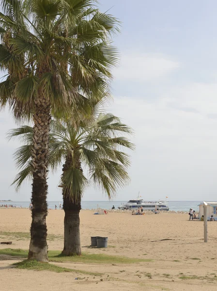 Tourists walking and sunbathing on the beach — Stock Photo, Image