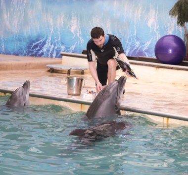 Yunus - anne coach altında bir resim çizer  