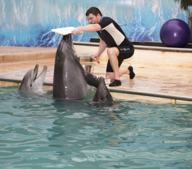 Yunus-annem yapar dudakları olan resimde