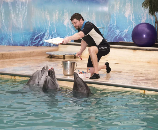 Dolphin-Mom se está preparando para hacer una impresión de labios en la imagen — Foto de Stock