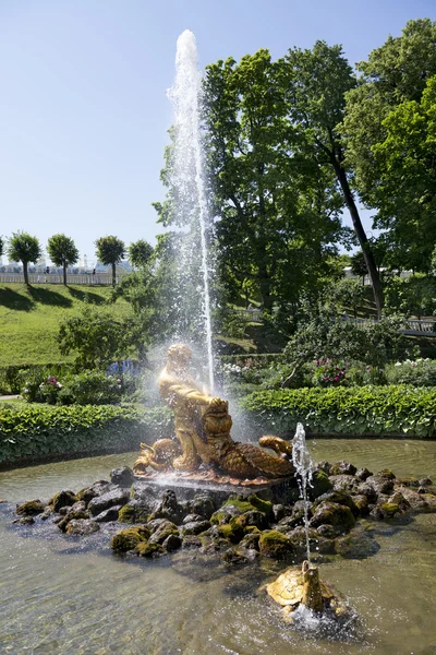 Tourists admire Greenhouse fountain with a sculpture of Triton, — Stock Photo, Image