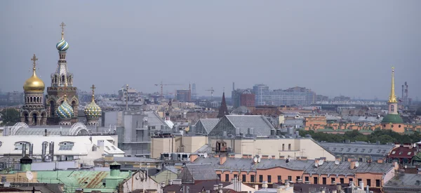 St. Petersburg izleme noktası St. Isaac'ın kedi--dan görünüm