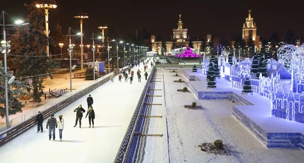 Vatandaşlar paten Vdnh, buz pateni pisti üzerinde