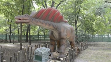 Amargasaurus.Period: Erken Kretase dönemi (131-125 milyon yıl önce)