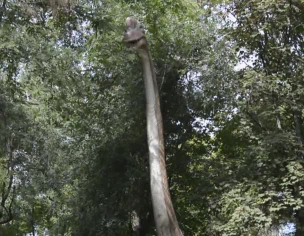 Brachiosaurus (மறைந்த ஜுராசிக் 156 மில்லியன் ஆண்டுகளுக்கு முன்பு ) — ஸ்டாக் வீடியோ