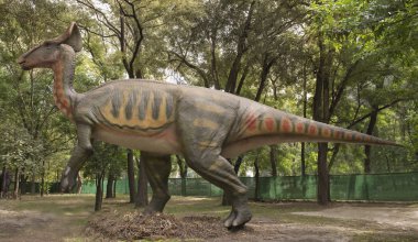 Olorotitan.Period: Geç Kretase (100-65 milyon yıl önce)