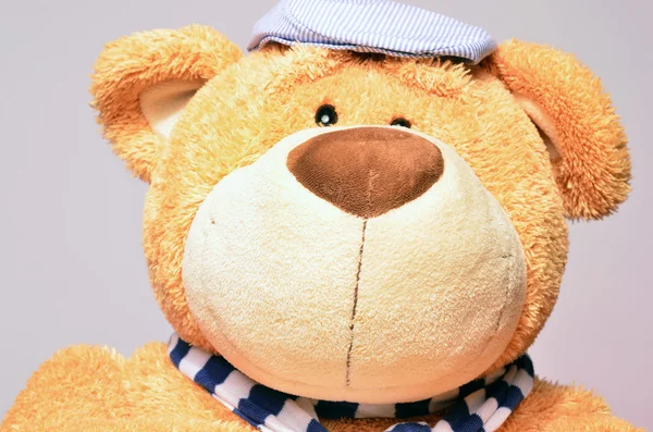 Teddybär in modischer Kleidung mit blauem Hut und blauem Schal. Porträt eines glücklichen Teddybären — Stockfoto