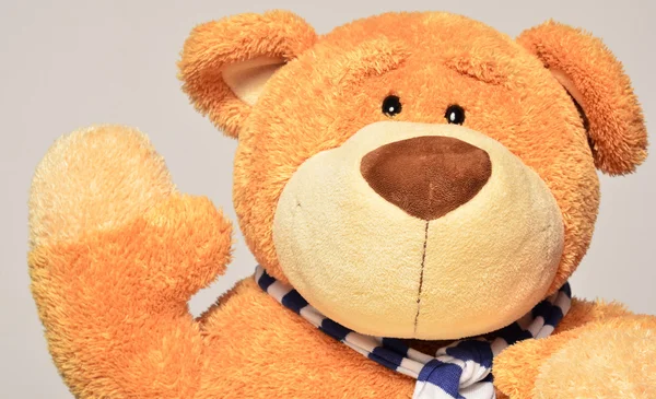 Teddybär mit blauem Schal hält eine Hand hoch und will etwas sagen — Stockfoto