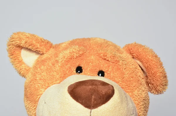 Close up on a teddy bear with a funny ear. Teddy bear looking surprised — Stock Photo, Image