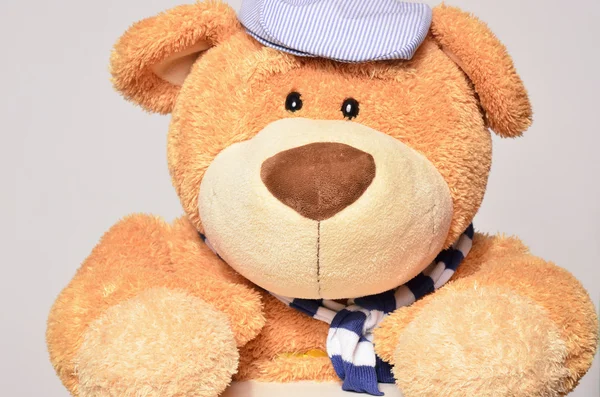 Teddy beer gekleed in mode met een blauwe hoed en een blauwe sjaal. Portret van een gelukkig teddybeer — Stockfoto