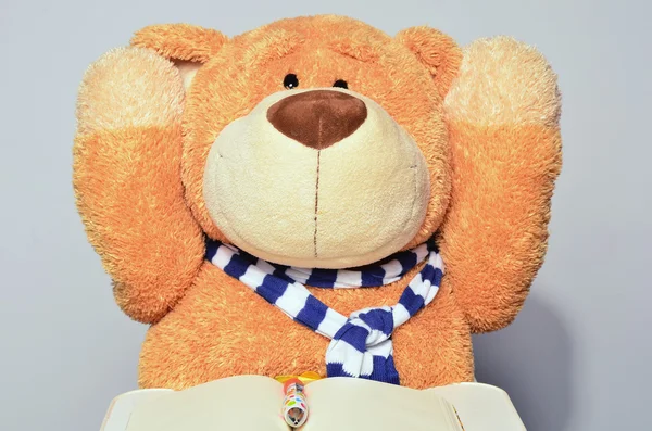 Teddybär hält eine Hand in die Höhe und liest aus einem Buch. Teddybär in der Schule während einer Unterrichtsstunde. Teddybär hat Spaß beim Schreiben — Stockfoto