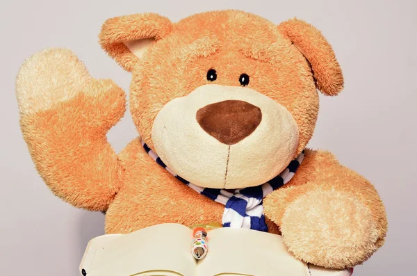 Teddybär hält eine Hand in die Höhe und liest aus einem Buch. Teddybär in der Schule während einer Unterrichtsstunde. Teddybär hat Spaß beim Schreiben — Stockfoto