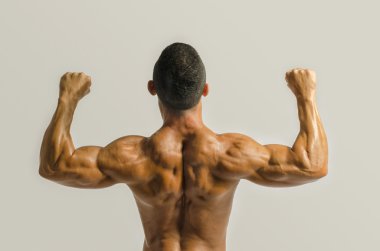 vücut geliştirmeci gösterilen onun sırt, omuz, triceps ve pazı kas, kişisel fitness eğitmeni