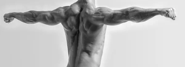 Culturista mostrando i muscoli della schiena e dei bicipiti isolati su uno sfondo bianco, personal trainer fitness. Uomo forte che flette i muscoli — Foto Stock