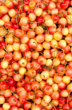 Olgun kırmızı kiraz kapatın. Kiraz arka plan.