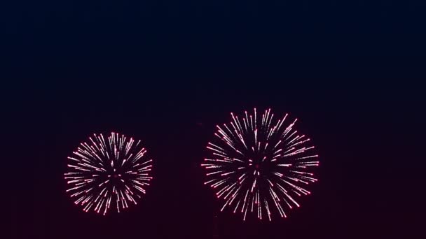 Fogos de artifício brilhantes coloridos no céu negro da noite. — Vídeo de Stock