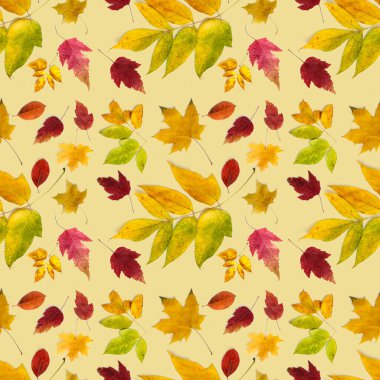 Soluk sarı renkte farklı sonbahar yapraklarının deseni. Kusursuz arkaplan