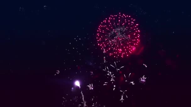 Színes Tűzijáték Szikrái Vannak Éjszakai Égbolton Közepes Terv — Stock videók