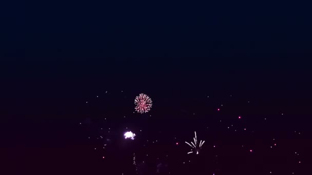 Fényes, színes tűzijáték szikrák az éjszakai égbolton — Stock videók