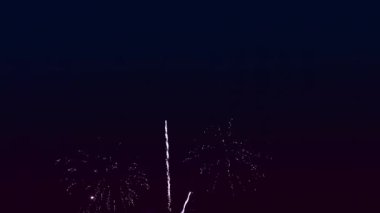 Parlak renkli havai fişekler Gece gökyüzünde kıvılcımlar saçar