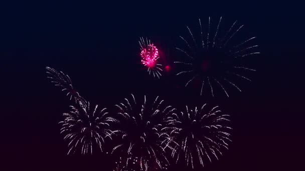 Fényes, színes tűzijáték szikrák az éjszakai égbolton. — Stock videók