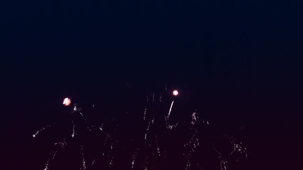 Focuri de artificii colorate luminoase pe cerul negru de noapte . — Videoclip de stoc
