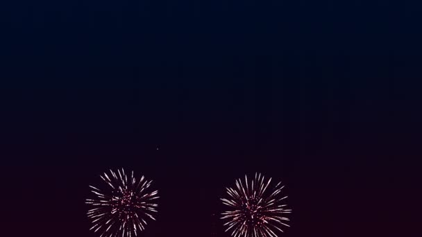 Blue Scattering Stars Fireworks Black Night Sky Overall Plan — Stock Video