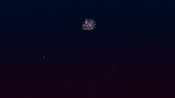 Argint roz scântei focuri de artificii de foc pe cerul negru de noapte — Videoclip de stoc