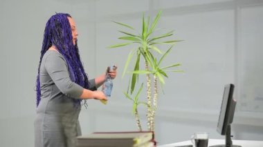 Ofisteki mavi afro saçlı Yahudi bir kadın kapalı alandaki çiçeklerle ilgileniyor. Genel plan