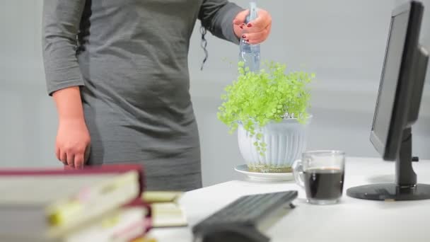 Una Mujer Oficina Encarga Las Flores Interior Refresca Con Agua — Vídeos de Stock