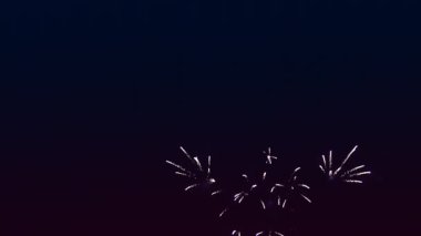 Kara gece gökyüzüne karşı kırmızı ve gümüş alevli havai fişekler. Genel plan