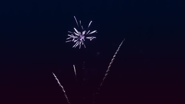 Blue Silver Sparks Fiery Fireworks Black Night Sky Overall Plan — Stock Video