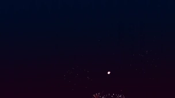 Bright Festive Fiery Fireworks Black Night Sky Overall Plan — Stock Video