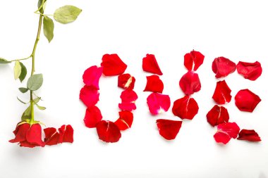 Beyaz bir arka planda gül ve taç yapraklarının yazıtları..