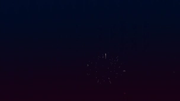 Focuri de artificii festive luminoase împotriva cerului negru de noapte — Videoclip de stoc