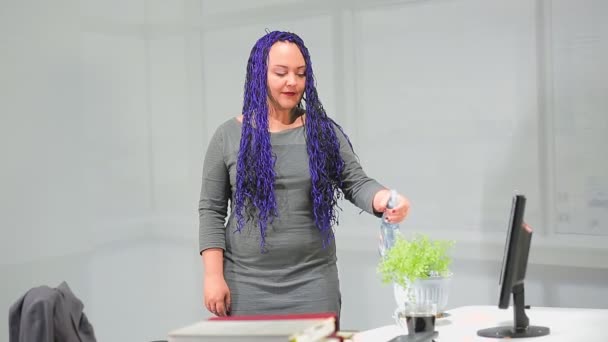 Een vrouw in het kantoor met een blauwe afro kapsel zorgt voor indoor bloemen — Stockvideo