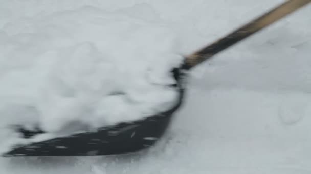 黒いプラスチックのシャベル雪をシャベルし、道をきれいにする — ストック動画