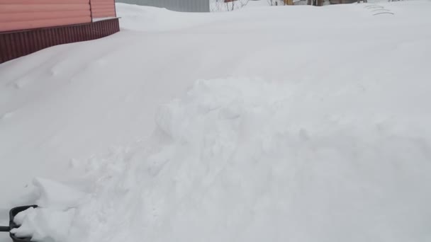 家の庭で雪が降った後、シャベルで暖かいコートの女性は雪を削除します。 — ストック動画