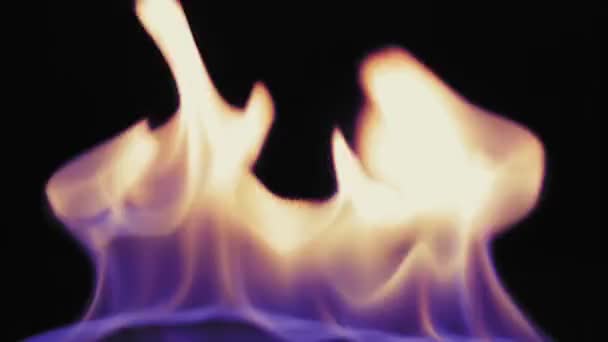 Világos Forró Lángok Égnek Fekete Háttéren Közelkép — Stock videók
