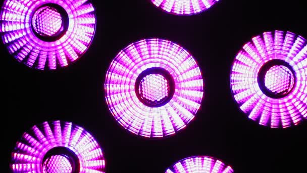 Led灯闪烁着蓝色和紫色 后续行动 — 图库视频影像