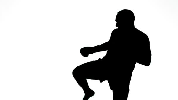 Silhouet Van Een Mannelijke Atleet Profiel Tijdens Training Muay Thai — Stockvideo