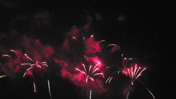 Fényes bíbor színű tűzijáték a sötét éjszakai égbolt ellen — Stock videók